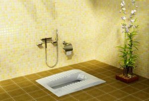 رفع گرفتگی توالت ایرانی