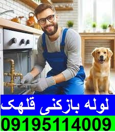 لوله بازکنی قلهک تهران