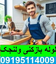 لوله بازکنی محله ولنجک 2