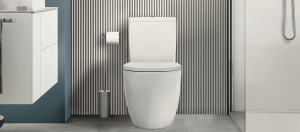 نصب توالت فرنگی