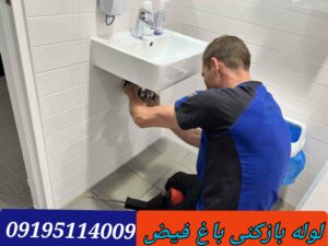لوله بازکنی باغ فیض