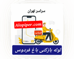 تخلیه چاه باغ فردوس