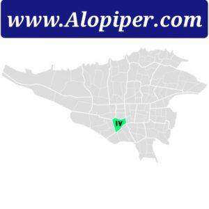تخلیه چاه منطقه 16