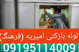 لوله بازکنی فرهنگ