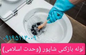 لوله بازکنی در وحدت اسلامی