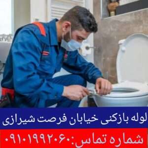 لوله بازکنی فرصت شیرازی 1