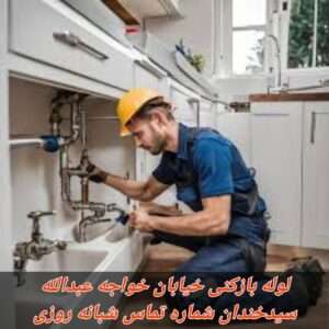 لوله بازکنی خیابان خواجه عبدالله2
