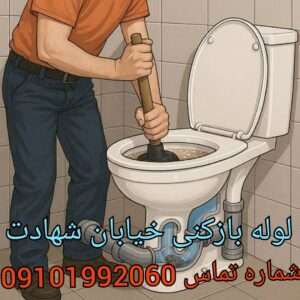 چاه بازکنی خیابان شهادت دولت آباد