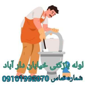 لوله بازکنی خیابان دار آباد