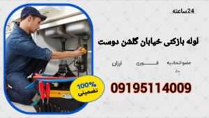 لوله بازکنی گلشن دوست