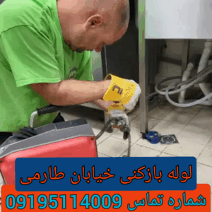 لوله بازکنی در خیابان طارمی