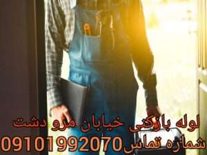 لوله بازکنی در خیابان مرودشت