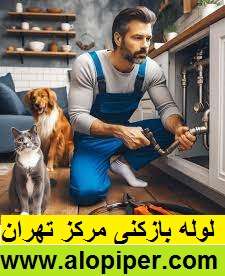 لوله بازکنی خیابان فلسطین3