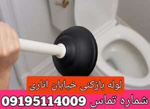 لوله بازکنی خیابان اناری صالح آباد