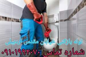 لوله بازکنی در مقدس اردبیلی